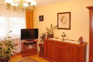 na zdjęciu salon mieszkania na sprzedaż w Warszawie, dzielnica Wola