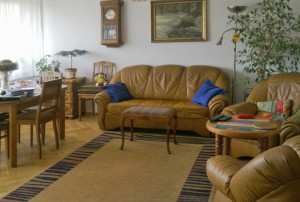 zdjęcie przedstawia salon w mieszkaniu w Warszawie do sprzedaży