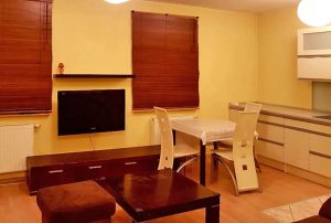 komfortowy salon w mieszkaniu do wynajmu Warszawa Ursynów 